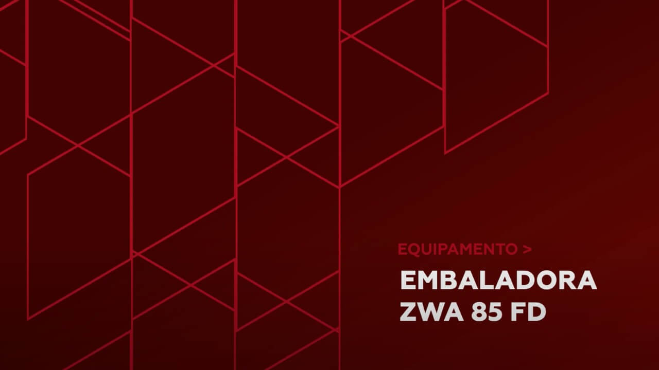 empaquetadora zwa 85 FD